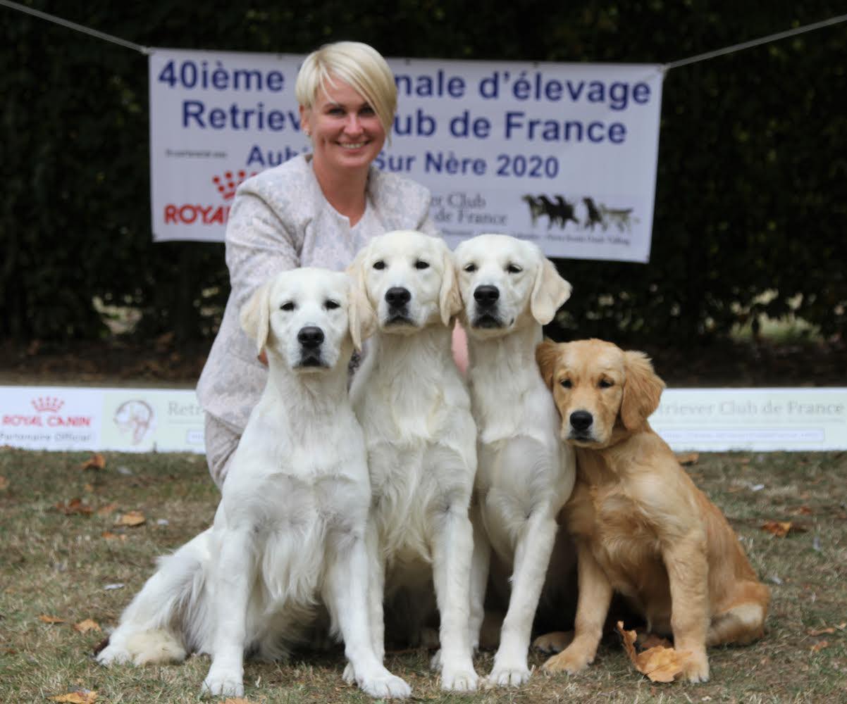 Nationale d’Elevage des Golden Retriever à Aubigny-sur-Nère 2020